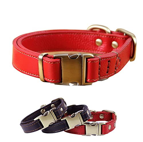 RC GearPro Weich Leder Hundehalsband für Welpen Kleine und mittlere Hunde - gepolstert Stark Ausbildung Hund Halsband Klassisch Haustier Halsbänder Echtes Leder mit Metallschnalle von RC GearPro