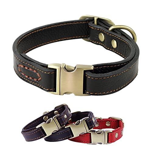 RC GearPro Weich Leder Hundehalsband für Welpen Kleine und mittlere Hunde - gepolstert Stark Ausbildung Hund Halsband Klassisch Haustier Halsbänder Echtes Leder mit Metallschnalle von RC GearPro