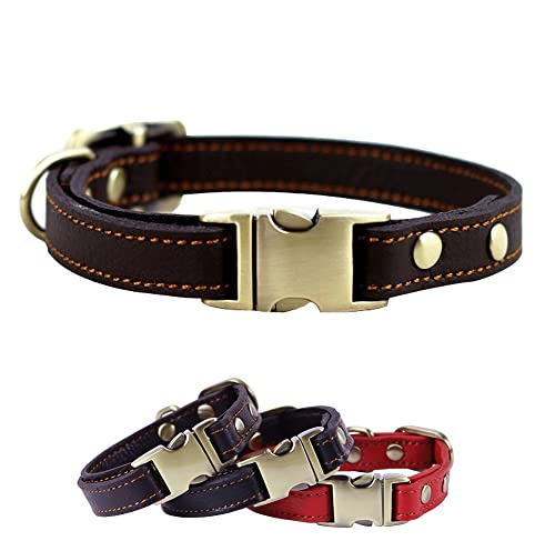 RC GearPro Weich Leder Hundehalsband für Welpen Kleine und mittlere Hunde - gepolstert Stark Ausbildung Hund Halsband Klassisch Haustier Halsbänder Echtes Leder mit Metallschnalle von RC GearPro