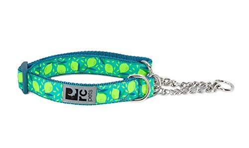 RC Pets Martingale Trainings-Hundehalsband, 2,5 cm, Größe L, Lemonade von RC Pet Products