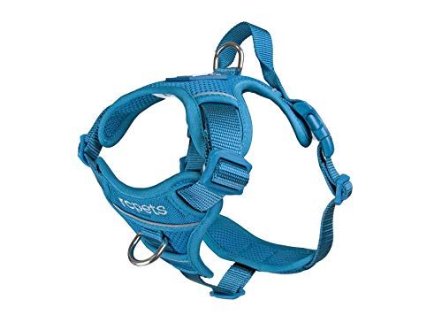 RC Pet Products Momentum Dog Harness, X-Large, Dark Teal von RC Pet Products