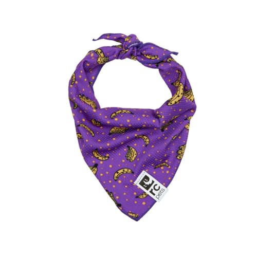 RC Pet Products Zephyr Kühlendes Bandana, Größe S, M, Bananas (70003350) von RC Pet Products