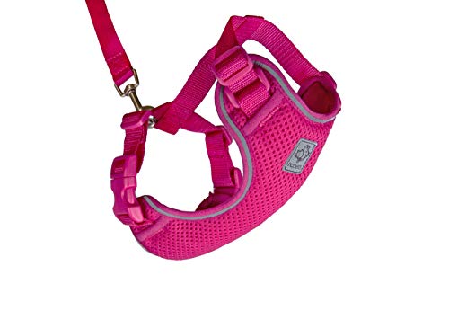 RC Pets Adventure Kitty Geschirr mit verstellbarem Airmesh-Gewebe, 1,8 m Leine und D-Ring, Himbeere, Größe M von RC Pet Products