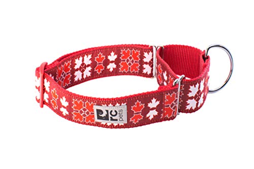 RC Pets Martingale-Hundehalsband, 3,8 cm, mit Gurtband, Größe L, Oh Kanada von RC Pet Products