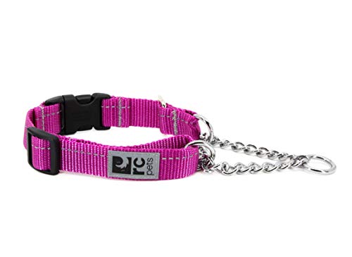 RC Pets Primary Collection Hundehalsband mit Clip, 2,5 cm, Größe M, Maulbeere von RC Pet Products