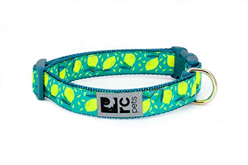 RC Pets Verstellbares Hundehalsband, 1,5 cm, Größe XS, Lemonade von RC Pet Products