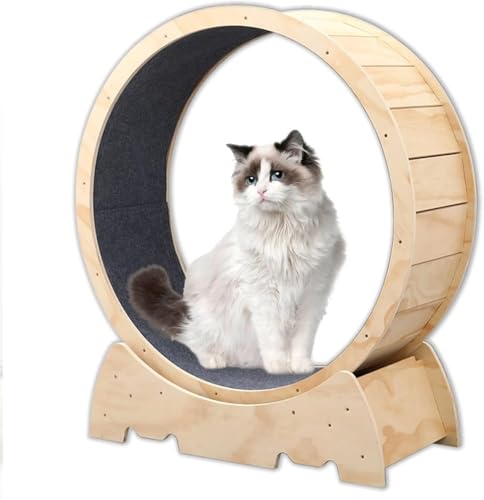 RCJCQSR Katzen-Laufrad, Indoor-Katzenspielzeug, niedliches Naturholz-Katzenrad, Übungsrad für alle Katzen, Gewichtsverlust (Größe: 106 cm) von RCJCQSR