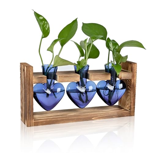 Pflanzen-Terrarium, Geburtstagsgeschenk für Frauen, Anzuchtstationen, Heimbüro, Dekoration, herzförmige Glasvase mit Holzständer von RCXsigns