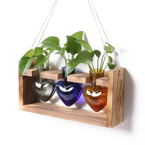 Pflanzen-Terrarium, einzigartiges Geburtstagsgeschenk für Frauen, Anzuchtstationen, Heimbüro, Dekoration, herzförmige Glasvase mit Holzständer von RCXsigns