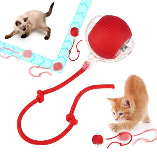 RCYHCY Interaktives Katzenball Spielzeug, Interaktives Hundeball, Katzenball, Interactive Cat Toys Rolling Ball, 360 Grad Rollender Ball für Kleine, Mittlere Hunde von RCYHCY