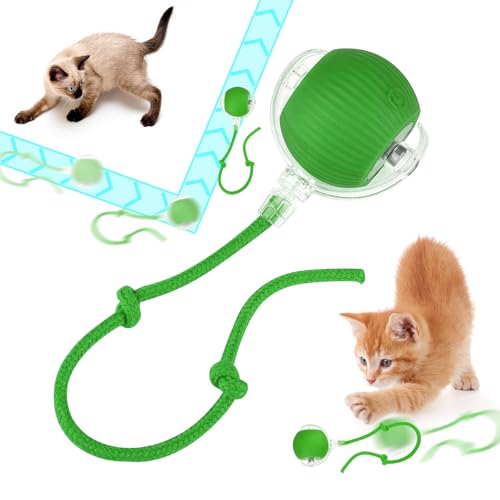 RCYHCY Rolling Ball, Interaktives Katzenball Spielzeug, Interactive Cat Toys Rolling Ball, 360 Grad Rollender Ball für Kleine, Mittlere Hunde von RCYHCY