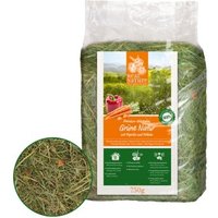 REAL NATURE Grüne Natur mit Paprika und Möhren 750g von REAL NATURE