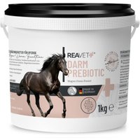 REAVET Darm Prebiotic 1 kg von REAVET