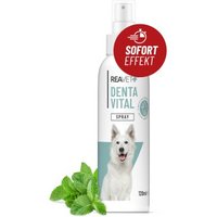 REAVET Denta Vital Spray 120ml von REAVET