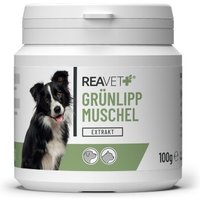 REAVET Grünlippmuschel Extrakt 100g von REAVET