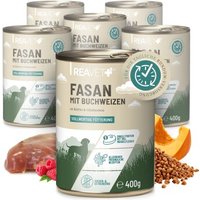 REAVET Hundenassfutter - Fasan mit Buchweizen an Kürbis & Himbeeren | 6 x 400g von REAVET