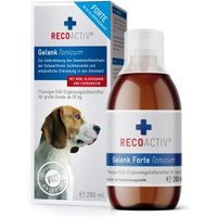 RECOACTIV ® Gelenk Forte Tonicum 280ml von RECOACTIV