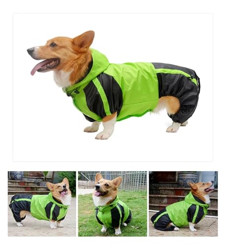 2025 Corgi Hund Kleidung Overall wasserdichte Kleidung Pembroke Welsh Corgi Hund Regenmantel Mit Kapuze Regen Jacke Haustier Outfit(Green,B-S) von RECORD BREAD