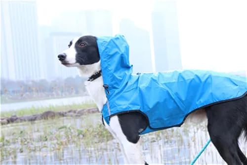 Haustier Hund Regenmantel Reflektierende Hund Weste Jacke for Kleine Medium Große Hunde wasserdichte Kleidung Outdoor Haustier Jacke Ropa para Perros(Blue,M) von RECORD BREAD