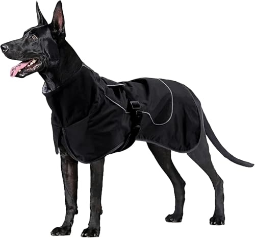 Hundejacke, wasserdichter Hunde-Regenmantel, reflektierende Jacke for kaltes Wetter mit weichem Fleece-Futter, warme Oberbekleidung for Haustiere im Freien(Black,M) von RECORD BREAD