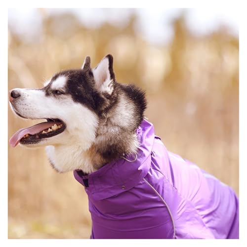 Regenmantel for kleine und große Hunde, reflektierender Reißverschluss, wasserdichte Kleidung, hoher Kragen, Umhang mit Kapuze, Overall, Labrador(Purple Hooded,12) von RECORD BREAD