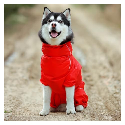 Regenmantel for kleine und große Hunde, reflektierender Reißverschluss, wasserdichte Kleidung, hoher Kragen, Umhang mit Kapuze, Overall, Labrador(Red Hooded,12) von RECORD BREAD