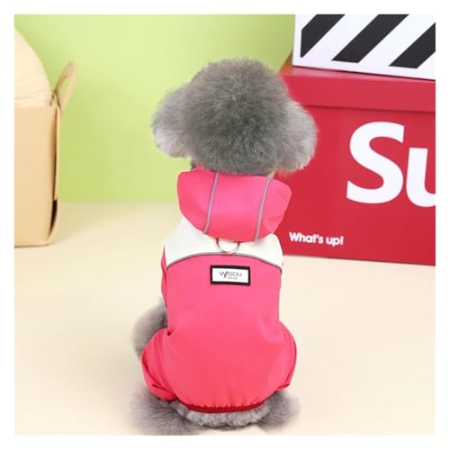 Wasserdichter Hundeoverall mit Kappen, Hunderegenmantel mit Vier Beinen, for kleine Hunde, Welpenkleidung, reflektierender Chihuahua-Regenmantel, Haustierkostüm(Wine Red,2XL) von RECORD BREAD