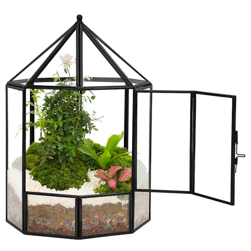 REDHUGO Glaspflanzen-Terrarium, handgefertigt, geometrischer Übertopf, Sukkulentententen-Behälter, Innenhaus, Mittelstück, Schaukasten für Sukkulenten, Kakteen, Luftpflanzen, Miniatur-Feengarten (nur von REDHUGO