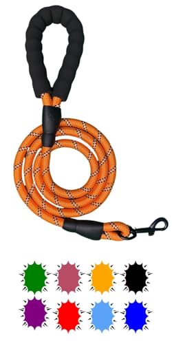 Strapazierfähige Hundeleine mit gepolsterten Griffen und reflektierenden Bändern, Orange, 1,5 m - 6,5 cm von REEDEEMIT