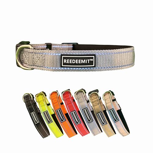 Strapazierfähiges, reflektierendes Hundehalsband, Grau, Größe L von REEDEEMIT