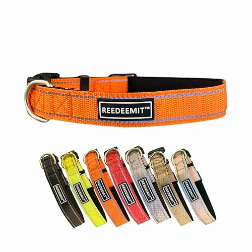 Strapazierfähiges, reflektierendes Hundehalsband, Orange, Größe L von REEDEEMIT