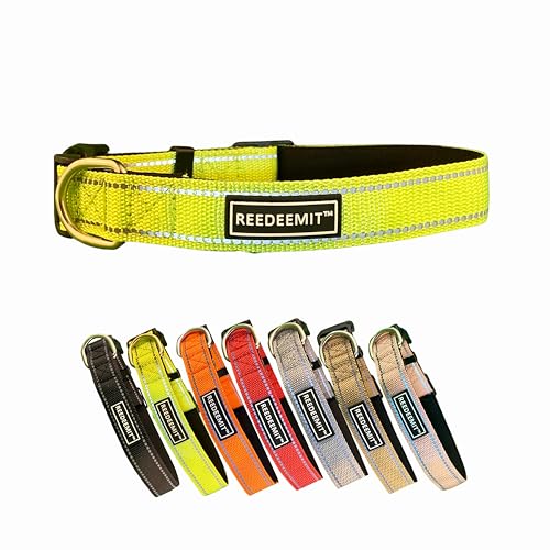 Strapazierfähiges, reflektierendes Hundehalsband, fluoreszierendes Grün, Größe S von REEDEEMIT