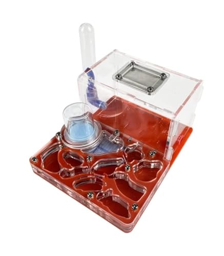 REEKOS Ameisenhaus Ameisenfarm Ameisenburg Acryl Ant Castle Ant Zucht Feuchtigkeitsspendende Nest Wissenschaftliche Beobachtung DIY Ant Nest Castle Ant Ameisennest Ameisen Zucht Box(Rood) von REEKOS