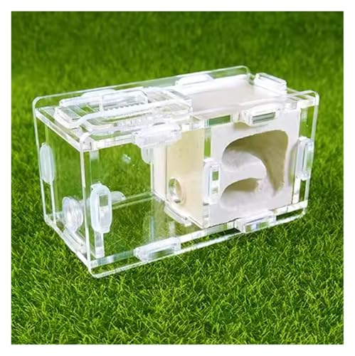 REEKOS Ameisenhaus Ameisenfarm Ameisenburg Ameisennest-Farm, Wissenschaftliches Experiment, Formicarium, Insektennest Für Wissenschaftliche Bildungswerkzeuge Ameisennest Ameisen Zucht Box(White) von REEKOS