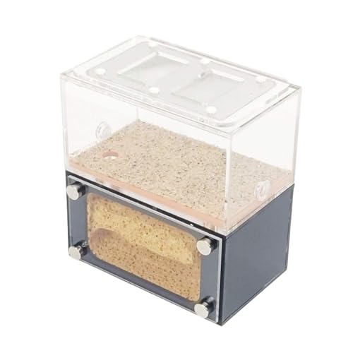 REEKOS Ameisenhaus Ameisenfarm Ameisenburg Ant Castle Mit Fütterungsbereich Acryl Ant Nest Farm Leicht Zu Beobachten Workshop Ant Terrarium Pädagogisches Ameisennest Ameisen Zucht Box von REEKOS