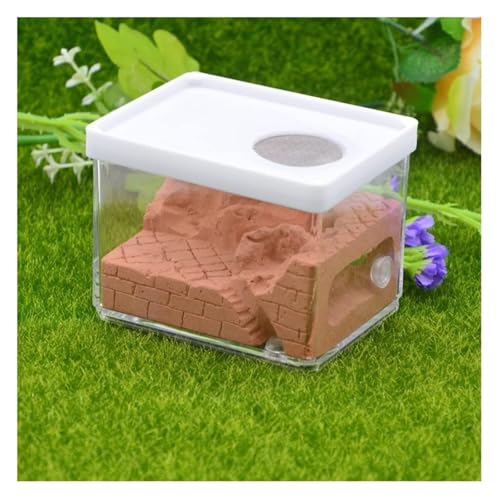 REEKOS Ameisenhaus Ameisenfarm Ameisenburg Gips Ant Farm Square Nest Haustier Anthill Insektenkasten Ant Nest Workshop Verwendet Für Ant Wissenschaft Bildung Ameisennest Ameisen Zucht Box(Brown) von REEKOS