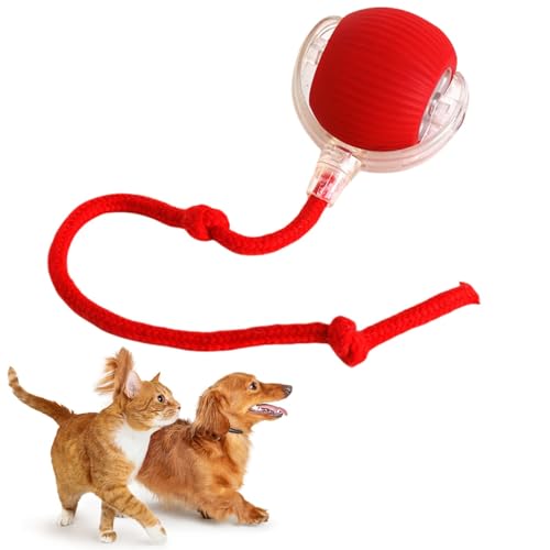 REGAPOG Cats and Dogs interaktiver spielball für Hunde Interactive Rolling Cat Dog Ball Mit Schnur,360°Automatische BallinteraktionHundespielzeug (A) von REGAPOG