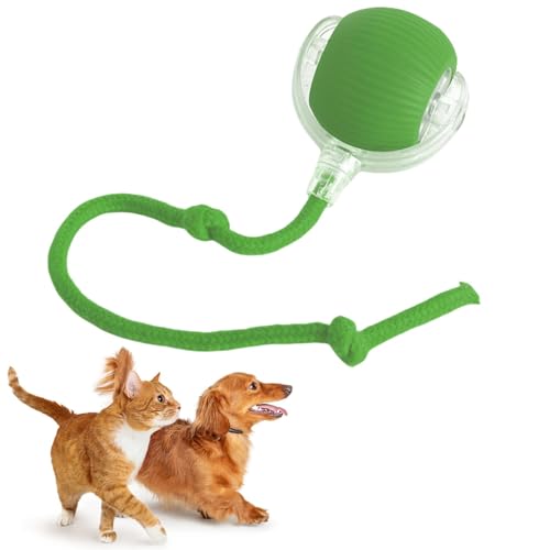 REGAPOG Cats and Dogs interaktiver spielball für Hunde Interactive Rolling Cat Dog Ball Mit Schnur,360°Automatische BallinteraktionHundespielzeug (B) von REGAPOG