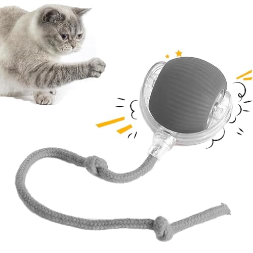 REGAPOG Interaktives Katzenball, Katzenspielzeug Elektrisch, Interaktives Spielzeug Für Katzen | USB Aufladbar | DREI Arbeitsmodi | 360° Rolling | Sich Unregelmäßig Bewegendes Katzenspielzeug (Grau) von REGAPOG