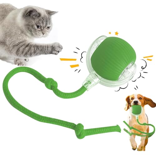 REGAPOG Interaktives Katzenball, Katzenspielzeug Elektrisch, Interaktives Spielzeug Für Katzen | USB Aufladbar | DREI Arbeitsmodi | 360° Rolling | Sich Unregelmäßig Bewegendes Katzenspielzeug (Grün) von REGAPOG