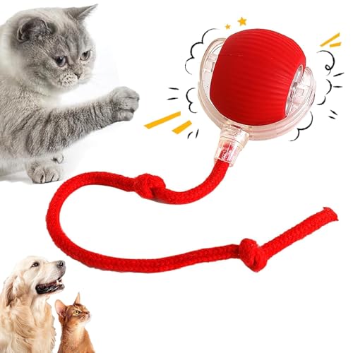 REGAPOG Interaktives Katzenball, Katzenspielzeug Elektrisch, Interaktives Spielzeug Für Katzen | USB Aufladbar | DREI Arbeitsmodi | 360° Rolling | Sich Unregelmäßig Bewegendes Katzenspielzeug (Rot) von REGAPOG