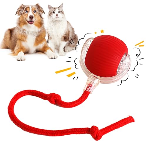 REGAPOG Interaktives Katzenspielzeug, Elektrischer Katzenball, Katzenspielzeug, Interaktiver Rollender Katzen- Und Hundeball Mit Seil, Hund Und Katze Kauen Rollenden Ball (Rot) von REGAPOG