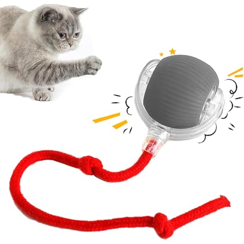 REGAPOG Interaktives Katzenspielzeug Elektrisch Katzenball Mit LED Licht- Katzenspielzeug Selbstbeschäftigung Automatisch Rollender Intelligenz -powerball 2.0 Katze Pfotenjagd Katzenspielzeug (Grau) von REGAPOG