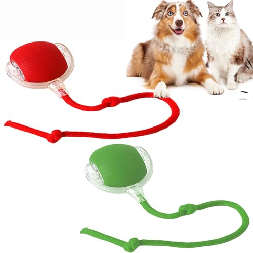 REGAPOG Magic Ball Hund，hundespielzeug elektrisch，interaktiver spielball für Hunde,Cats and Dogs interaktiver spielball，360°Automatische Ballinteraktion Hundespielzeug (rot und grün) von REGAPOG