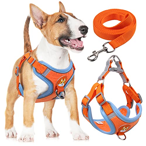 rennaio Hundegeschirr Kein Ziehen, Verstellbares Welpengeschirr mit 2 Leinenclips, Reflektierendes Hundegeschirr und Leine Set für kleine und mittelgroße Hunde (Orange, XL) von RENNAIO