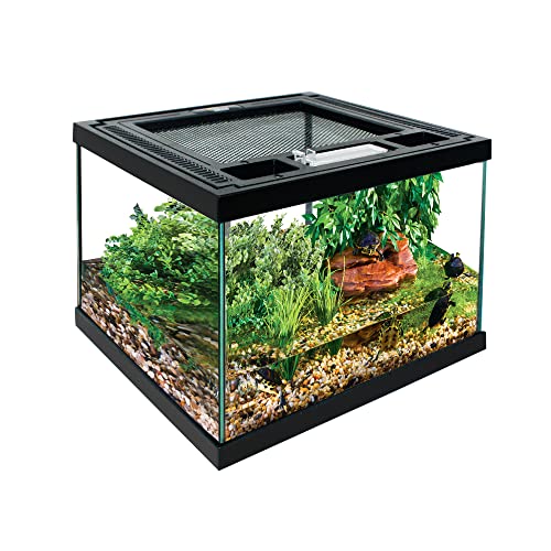 REP BUDDY Glasterrarium mit Belüftungsöffnung und Futterloch für lebende Reptilien & Amphibien Bartdrachen, Leguan, Schildkröten (20,3 x 20,3 x 15,2 cm) mit Reptilienteppich und Thermometer von REP BUDDY