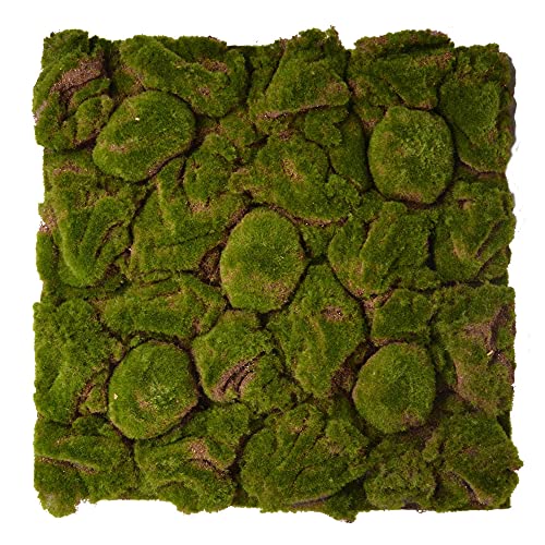 REPITERRA Terrarium Rückwand 3D Hintergrund Deko Naturlook Moos 58x58cm für Terrarien Ausbau von UNUS