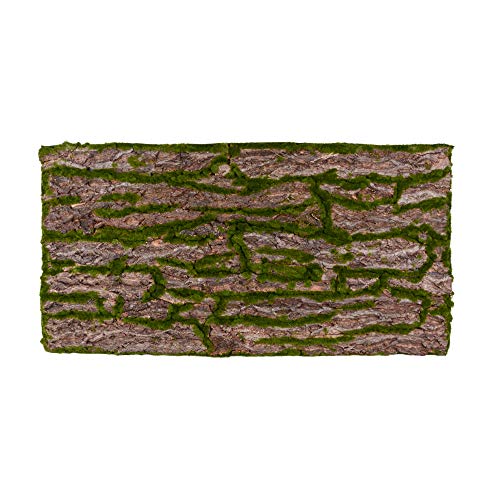 Terrarium Rückwand 3D Hintergrund Deko Naturlook Rinde 116x58cm für 120x60cm Terrarien von REPITERRA