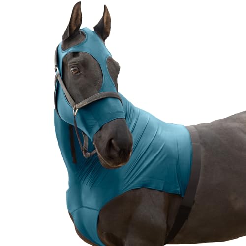 RESISTANCE Premium Horse Hood Pull On with Face - Horse Sleazy Slickers and Horse Care Sheet von RESISTANCE