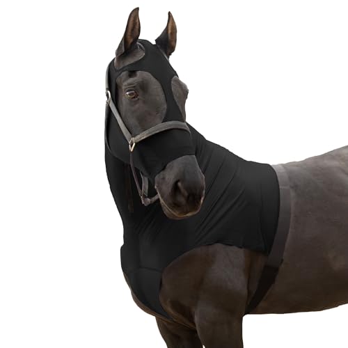 RESISTANCE Premium Horse Hood Pull On mit Gesicht - Pferdeschutz vor Fliegen und Wetter, Schwarz, Medium von RESISTANCE